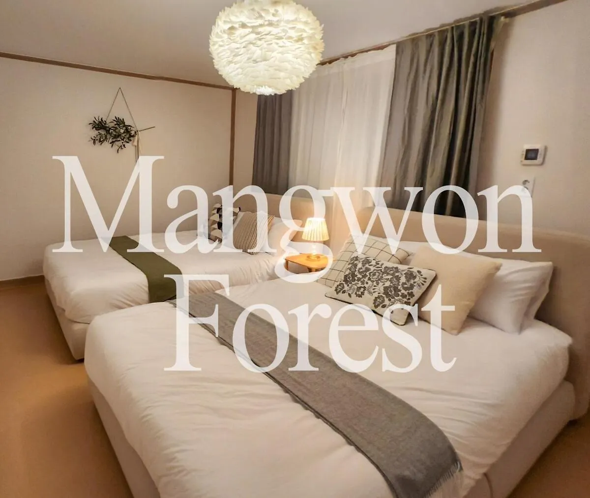 Mangwon Forest Seoul